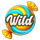sweet candy blitz wild symbol icon