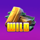 syndicate wild symbol icon