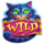 tea party of fortune wild symbol icon