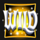 temple of light wild symbol icon