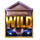 the big take wild symbol icon