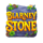 the blarney stone oranje jackpot wild symbol icon