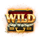 the bonus day wild symbol icon