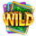 the cash is right wild symbol icon