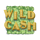 the cash king wild random symbol icon