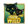 the catfather wild symbol icon