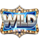 the game show wild symbol icon