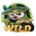 the legend of panda wild symbol icon