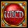 the vampires ii wild symbol icon