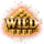 the vip wild symbol icon
