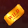 the wild show wild symbol icon