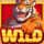 tiger luck wild symbol icon