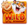 tiger of fortune wild symbol icon