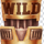 tnt tumble dream drop wild2 symbol icon