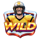 touchdown cash wild symbol icon