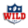 touchdown gold wild 1 symbol icon