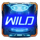travel through time wild symbol icon