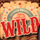 treasure fair wild symbol icon