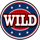 triple american blitz wild symbol icon