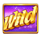 triple money jackpot symbol wild icon
