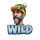 unusual suspects grand gallop wild 2 symbol icon