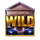 vice shore the big score wild symbol icon
