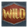 vikings fortune hold and win wild symbol icon