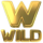 w 94b7aaf2df icon