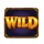 well of riches wild symbol icon