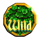 well of wishes wild symbol icon