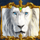 white king wild symbol icon