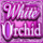 white orchid wild symbol icon