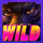 wild ape wild symbol icon