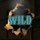 wild bandits wild3 symbol icon