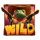 wild canyon wild symbol icon