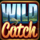 wild catch wild symbol icon