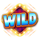 wild classic wild symbol icon