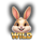 wild easter eggs wild symbol icon