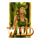 wild elements wild 3 symbol icon