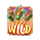 wild fireworks wild symbol icon