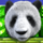 wild giant panda wild symbol icon
