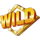 wild mirage wild symbol icon