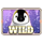 wild penguin wild symbol icon