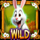 wild rush bunny wild symbol icon