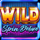 wild spin deluxe wild symbol icon