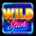 wild spin wild symbol icon