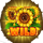 wild sunflower wild symbol icon