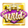 wild vaults dice random wild symbol icon
