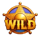 wild west express wild symbol icon