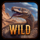 wild west whirlwind wild symbol icon